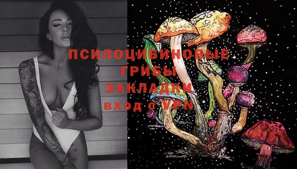 a pvp Вязьма