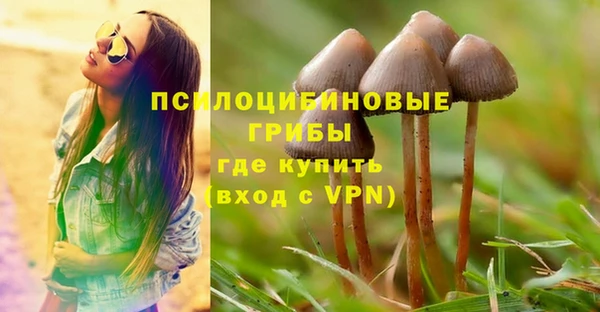 a pvp Вязьма