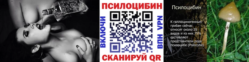 даркнет Telegram  что такое наркотик  Назарово  Псилоцибиновые грибы Psilocybe 