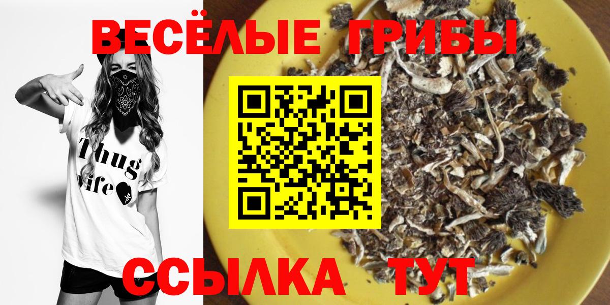 Галлюциногенные грибы MAGIC MUSHROOMS Назарово