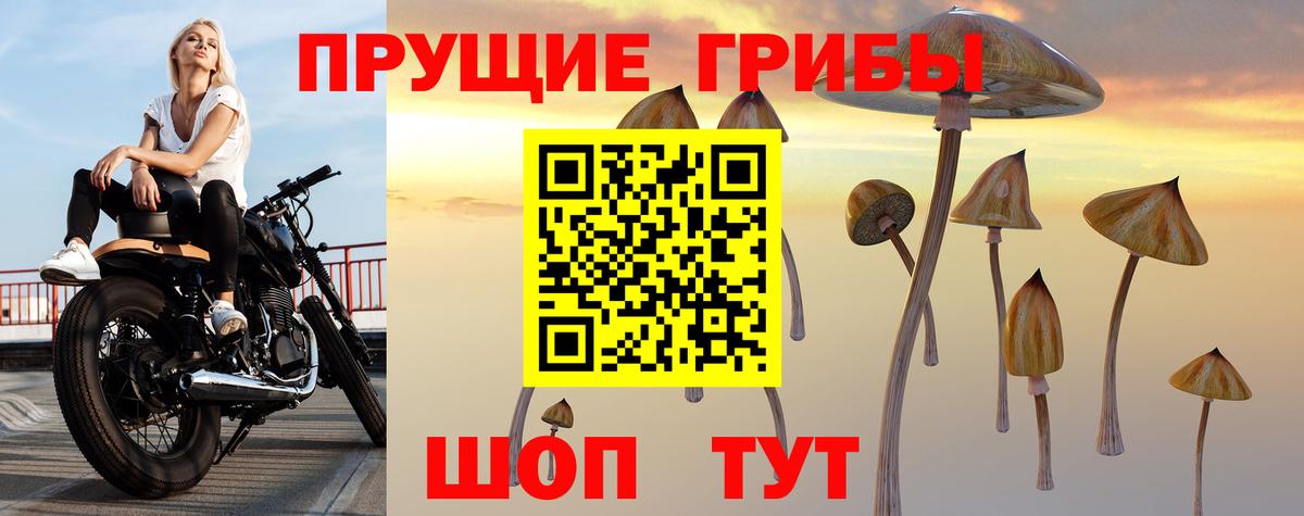 Галлюциногенные грибы мухоморы  Галлюциногенные грибы Psilocybine cubensis  Назарово  Вход с VPN 